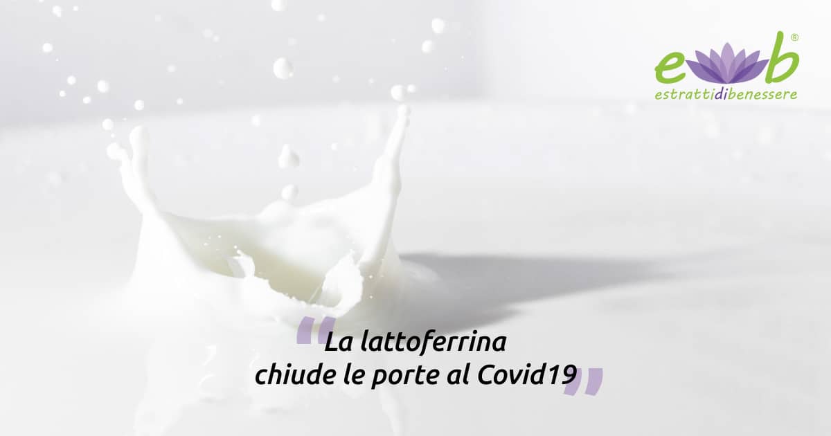 lattoferrina covid19 proteina naturale del latte contro coronavirus