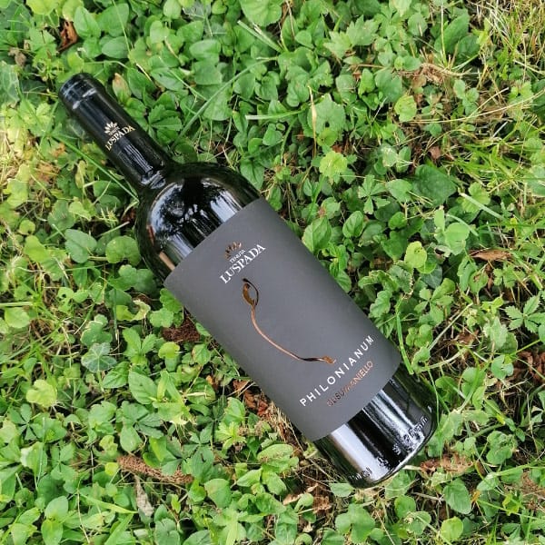 Vino Philonianum Susumaniello Salento IGT Biologico 2019 - confezione 6 bottiglie - immagine 2